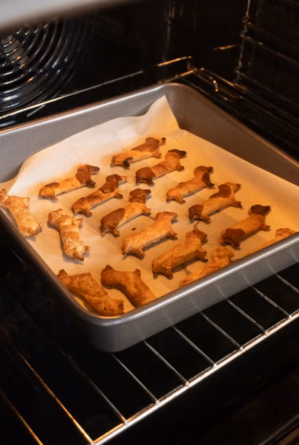 Snack de Frango Desidratado