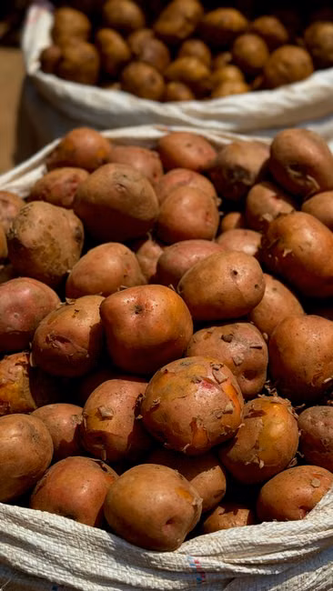 Snack Natural de Batata-Doce